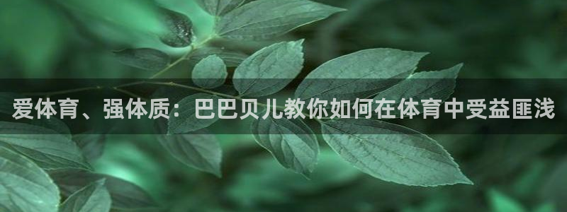 bbin视讯游戏官网
