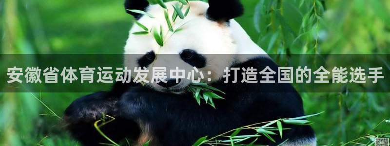 bbin视讯游戏平台