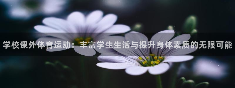 bbin视讯