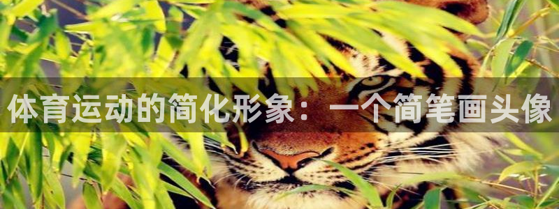 bbin视讯游戏官网