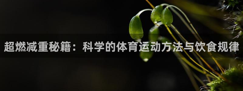 bbin视讯