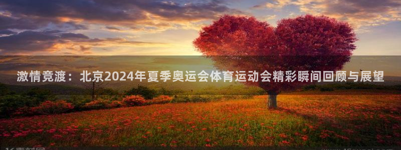 bbin视讯下