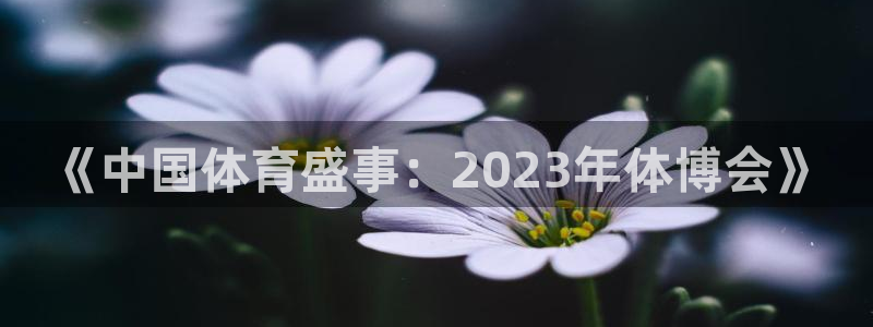 bbin视讯游戏官网