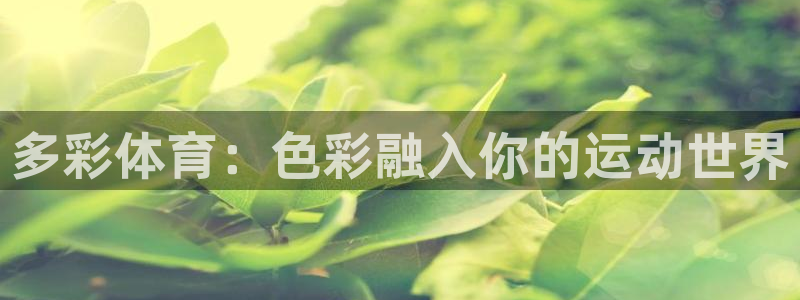 bbin视讯游戏平台