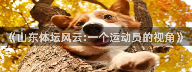 bbin视讯下